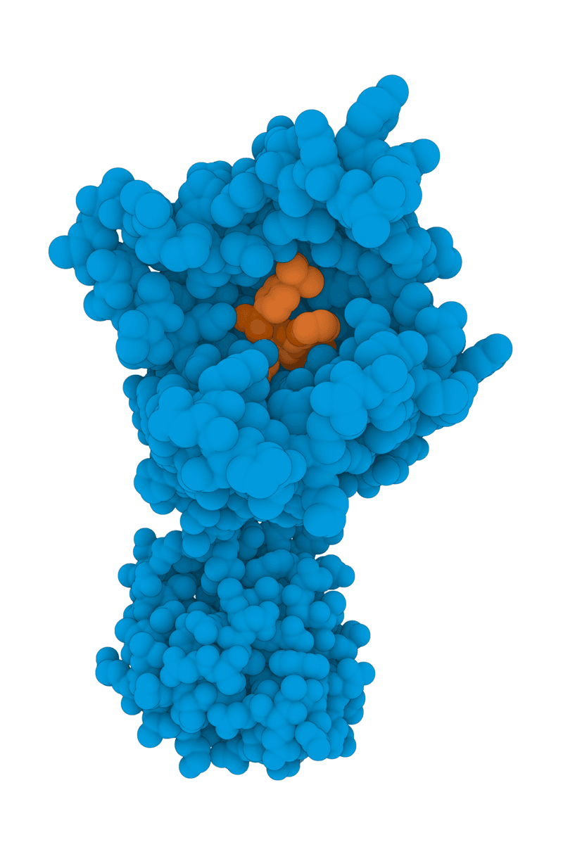 Cryo-EM protein structure visualization